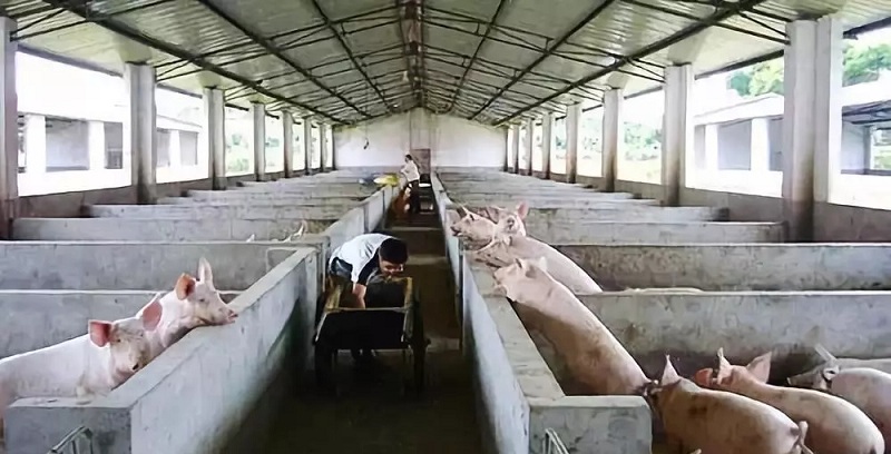 �i��(ch��ng)�՚�Դ��õ�ů����