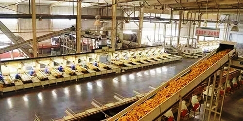 空氣源熱泵烘干流水線作業 空氣源熱泵烘干流水線作業